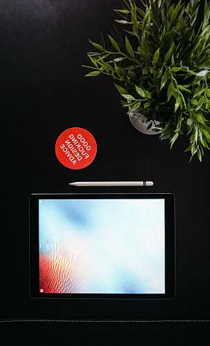 flat lay black iPad next to Apple pen near green leaf plant ipad screen
